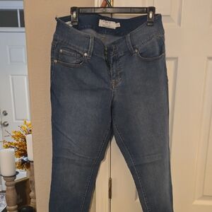 Torrid Denim Blue Skinny Jeans